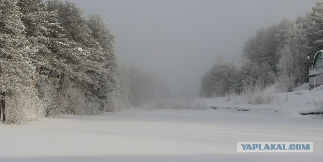 Сургут 01.02.2019, несколько фотографий