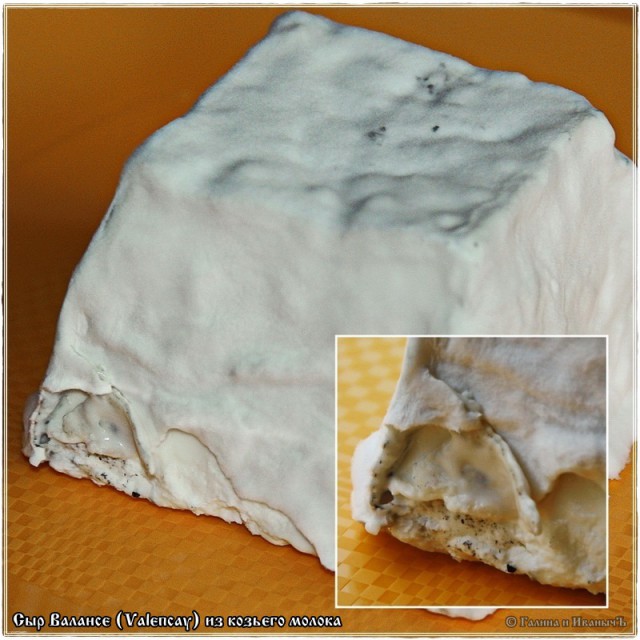 Сыр Валансе́ (Valencay)  из молока англо нубийских коз