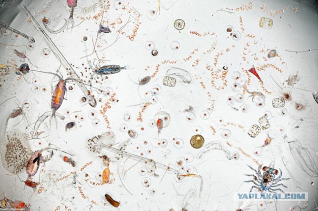 Лучшие фотографии года