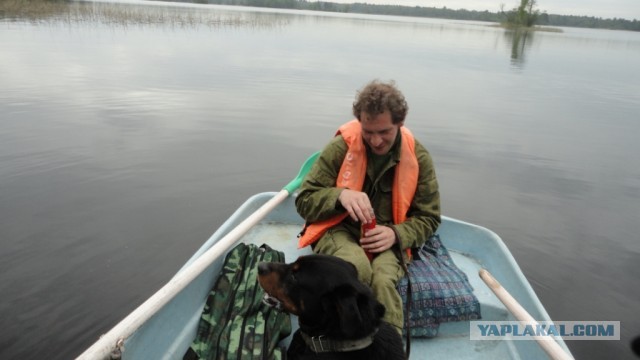 Вуокса 2013 или Трое в лодке не стесняясь собаки