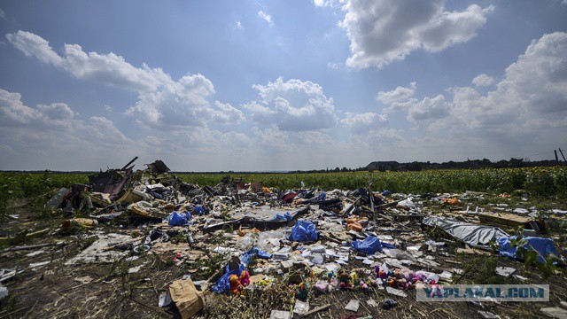 Засекречены данные о рейсе MH17