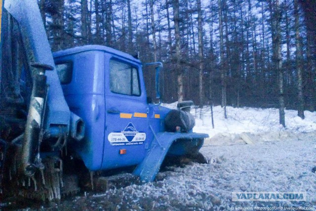 Магадан, Бухта Мелководная. Корюшковый рай. Часть 1