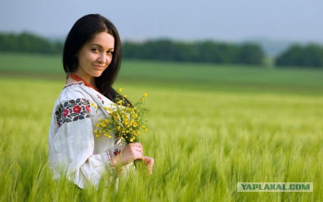 Вчера был на свадьбе!