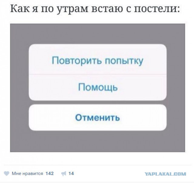 9182218.jpg