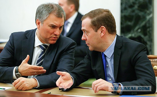 Володин выступил против проверки фактов из расследования ФБК о Медведеве