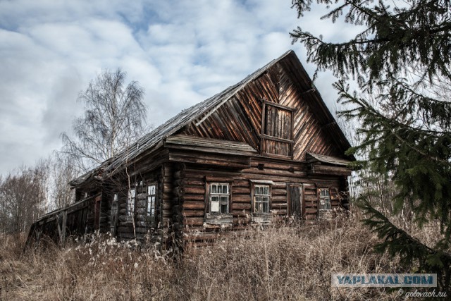 Родина. Костромская область.