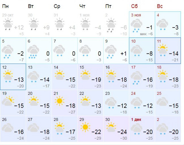 Жизнь домашнего приюта для котеек 242