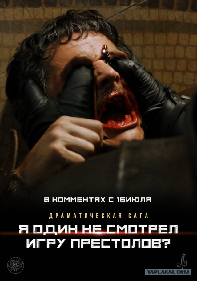 10027228.jpg
