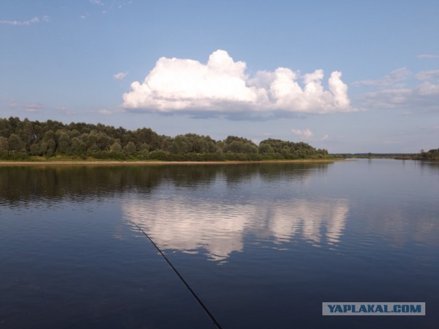 д. Городня