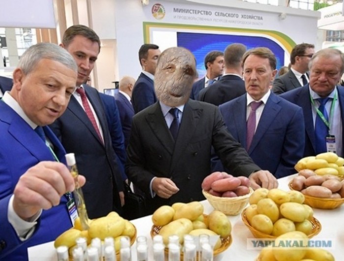 Медведев и картошка