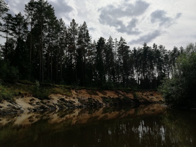 Сплав по реке Болва 2-5 августа 2020 года
