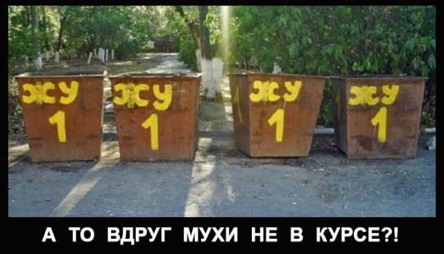 Прикольные картиночки