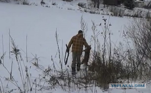 Странный "товарищ" с ружьём!