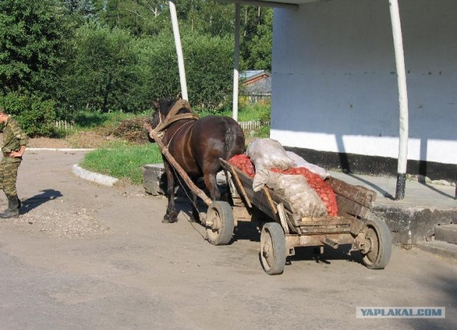 Солдатское питание