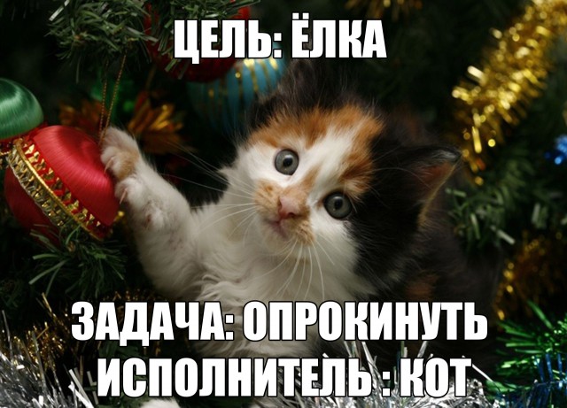 Рождественская мечта котов