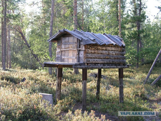 В гостях у Хантов