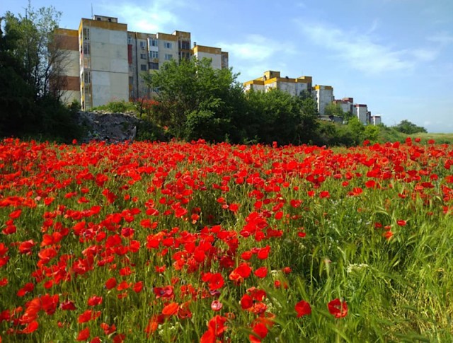 Получите в бубен