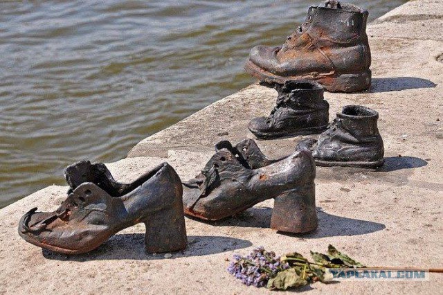 Обувь Дуная