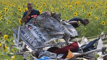 Малайзийский Boeing был сбит украинцами по