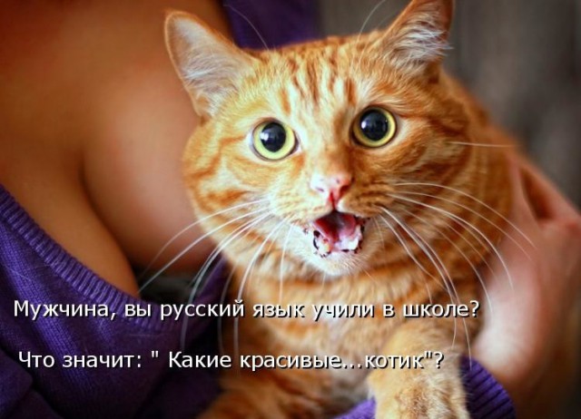 http://s00.yaplakal.com/pics/pics_preview/8/4/0/8886048.jpg
