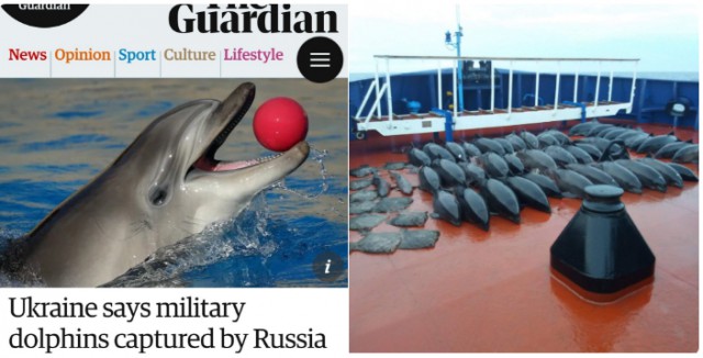 Украинские боевые дельфины погибли в Крыму — постпред Порошенко.