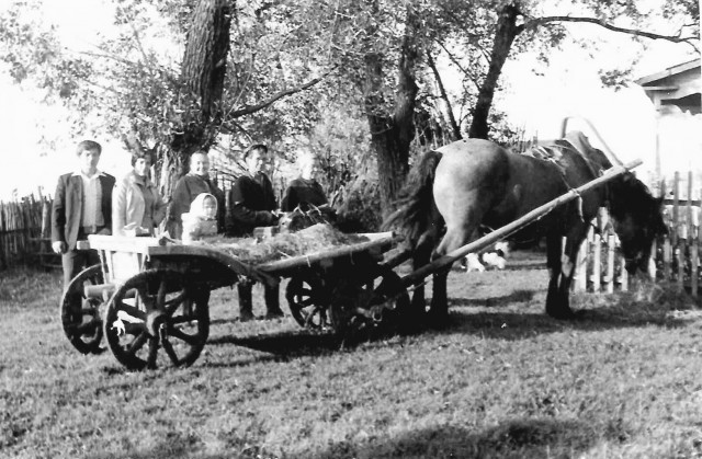 Немного фотографий из жизни одной деревни 70-е  -  80-е...