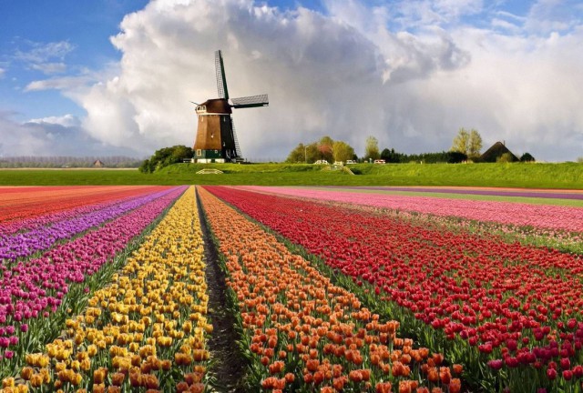 Что вы могли не знать о Нидерландах