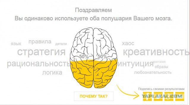 Тест - Левое или Правое.