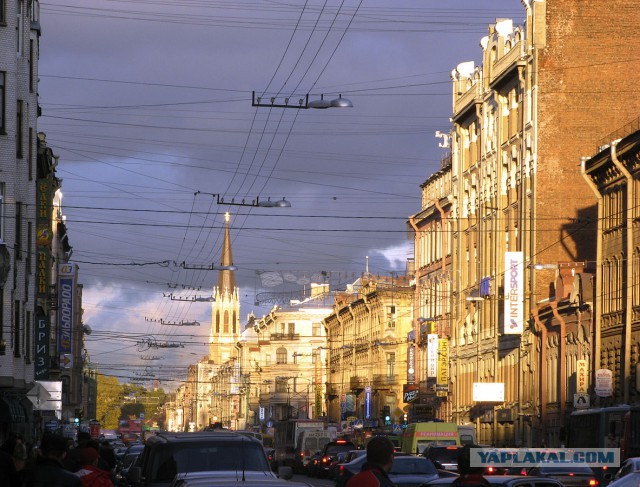 Проспекты Санкт-Петербурга, продолжение