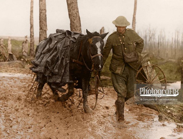 Раскрашки 1914-1918 гг.