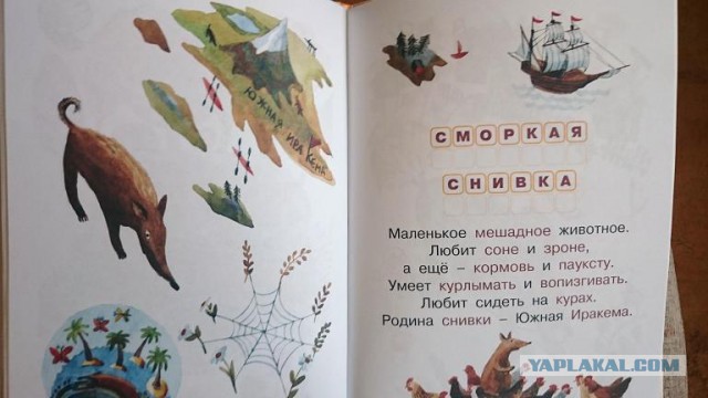 Младшему ребенку подарили книжку....