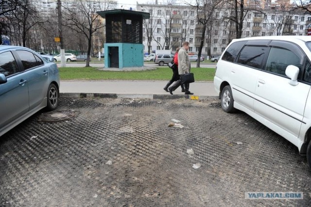 Как в Москве воруют газоны,