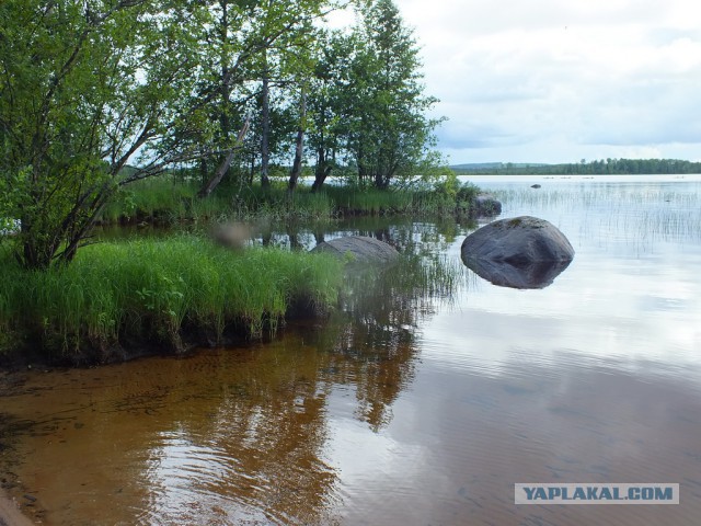 Карелия. Сплав по реке Шуя.