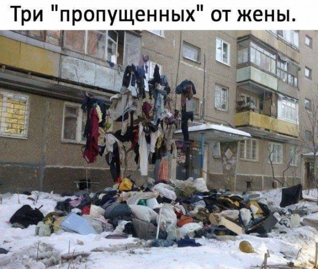 10126058.jpg