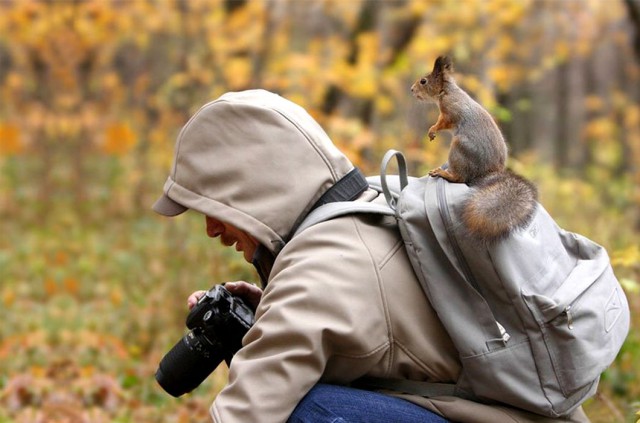 Дикие компаньоны фотографа-натуралиста