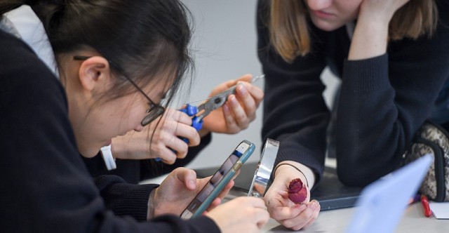 Матвиенко предложила запретить мобильные телефоны в школах