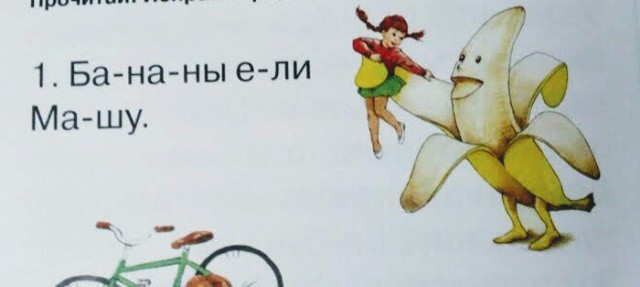 11816258.jpg