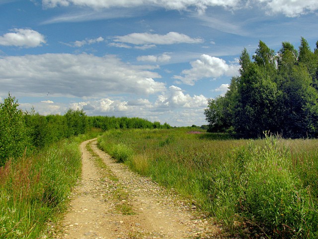 Красота сельских дорог