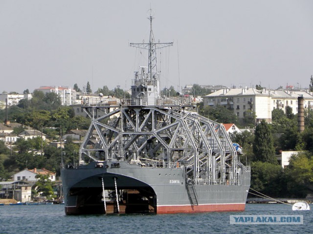 2003358.jpg