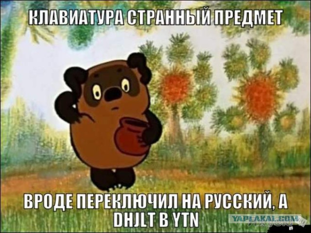 4179458.jpg