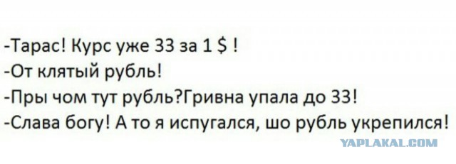 4929758.jpg