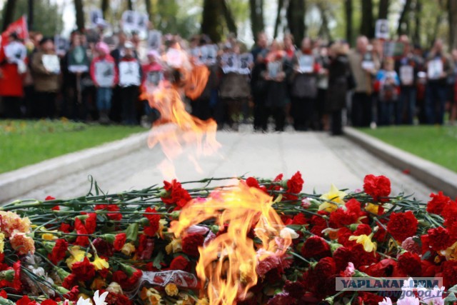 "Газпром" больше не будет бесплатно подавать газ к "Вечному огню" в Великом Новгороде