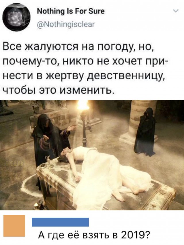 13732068.jpg