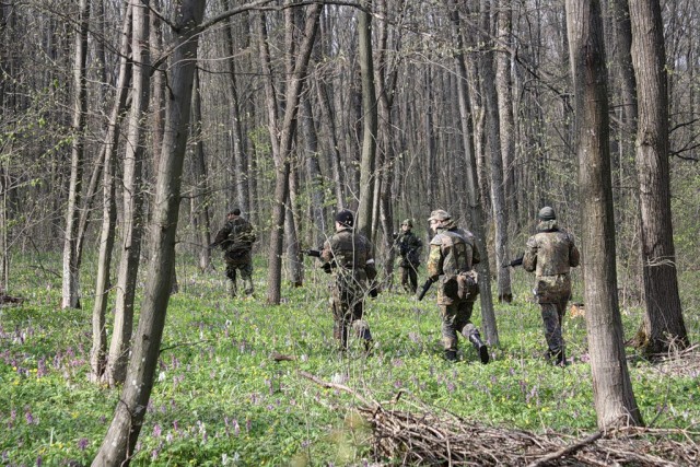 СтрайкБолл (StrikeBall, AirSoft)