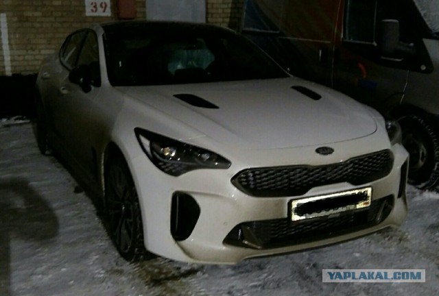 Названа российская цена Kia Stinger