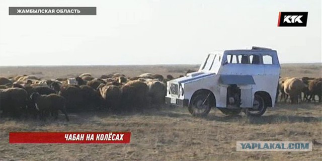 "Казахваген"- новая разработка казахских животноводов