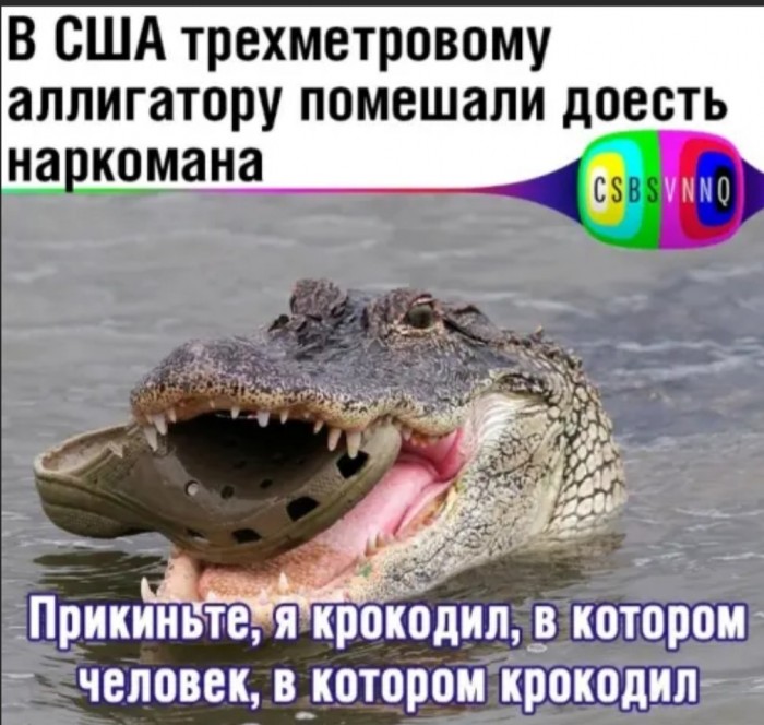 Бредзона