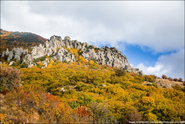 То, ради чего осенью стоит ехать в Крым
