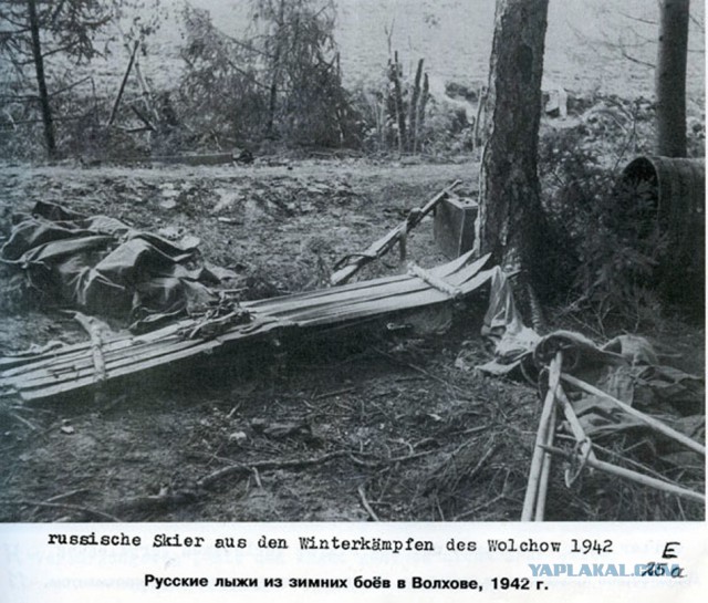 Фото с мест Волховской битвы (Вермахт)