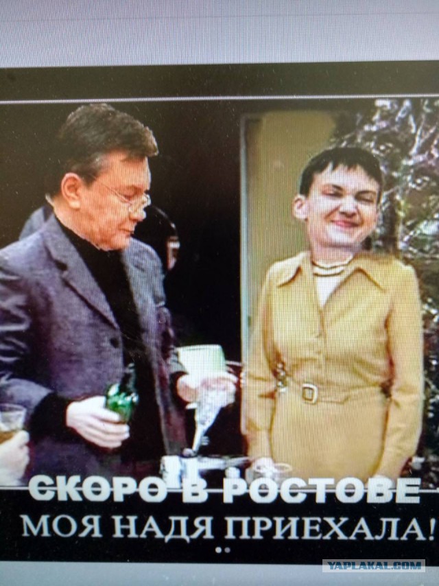 Савченко внесли в базу Миротворца